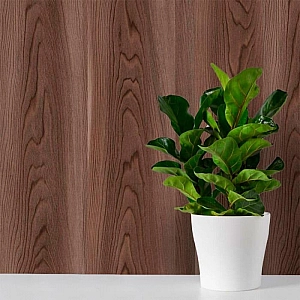 Панель МДФ Stella Classic Light Орех Бразильский 6*200*2700 мм. Изображение - 5