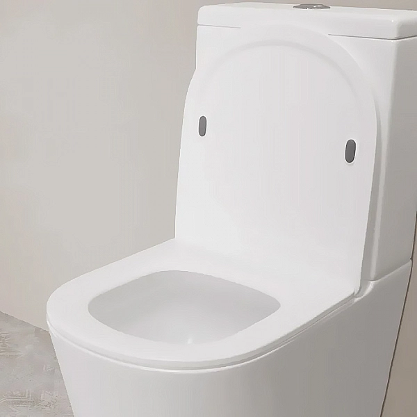 Компакт-унитаз Lauter W76 P-TRAP 21122762