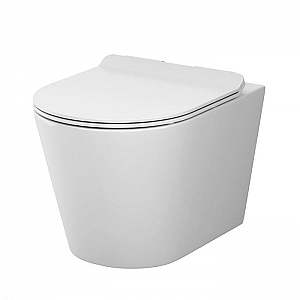 Унитаз подвесной AM.PM Sunny Flashclean C85C1701SC
