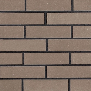 Кирпич стандартный пустотелый гладкий РуБелЭко КСПГ1-Ф 1КБОЛ-МЦП-25.12.6.5-4-СТБ 1008-95 сталь. Изображение - 1