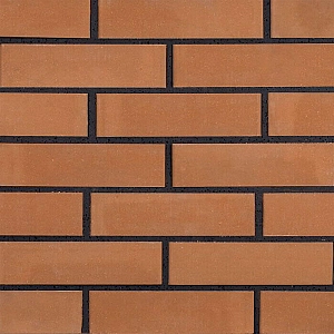 Кирпич стандартный пустотелый гладкий РуБелЭко КСПГ3-Ф 1КБОЛ-МЦП-25.12.6.5-4-СТБ 1008-95 латте. Изображение - 1