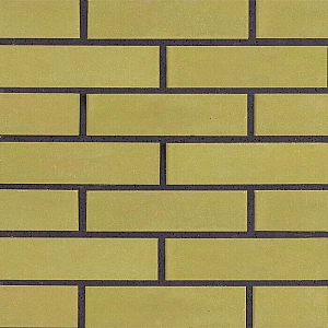 Кирпич стандартный полнотелый гладкий РуБелЭко КСЛГ2 1КБОЛ-МЦП-25.12.6.5-4-СТБ 1008-95 песчаник. Изображение - 1