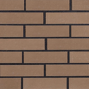 Кирпич стандартный полнотелый гладкий РуБелЭко КСЛГ1 1КБОЛ-МЦС-25.12.6,5-4-СТБ 1008-95 сталь. Изображение - 1