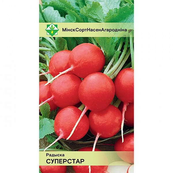 Редис Суперстар МинскСортСемОвощ 2 г