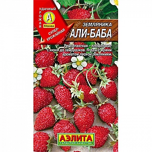 Земляника Али-Баба семена Аэлита