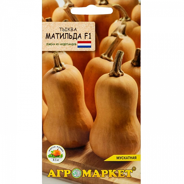 Тыква Матильда F1 Агромаркет 5 шт