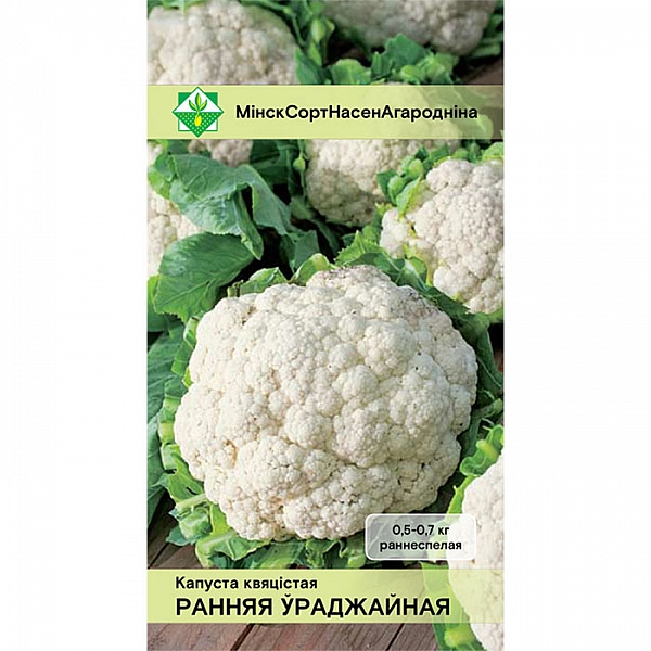 Капуста цветная Ранняя урожайная МинскСортСемОвощ 0.3 г