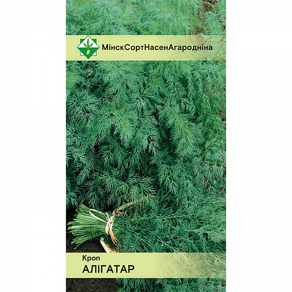 Укроп Аллигатор МинскСортСемОвощ 2 г