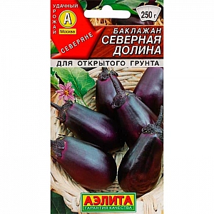 Баклажан Северная долина Аэлита