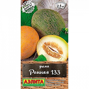 Дыня Ранняя 133 Аэлита
