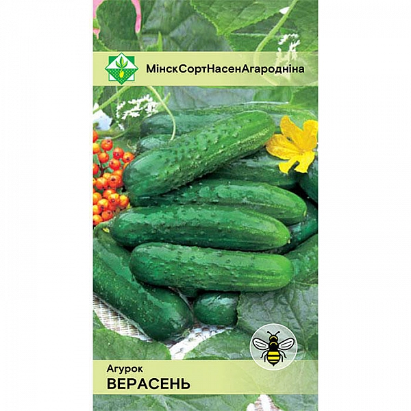 Огурец Верасень МинскСортСемОвощ 0.6 г