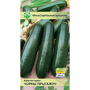 Кабачок Черный красавец МинскСортСемОвощ 2 г