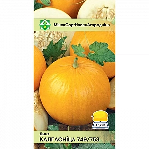 Дыня Колхозница МинскСортСемОвощ 10 шт