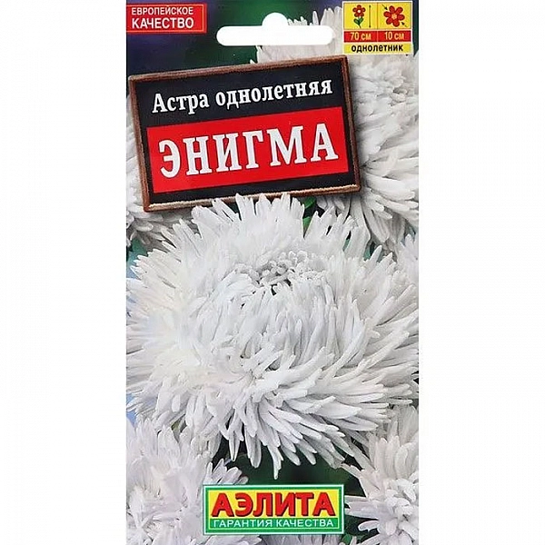 Астра Энигма семена Аэлита
