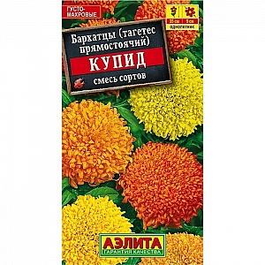 Бархатцы Купид семена Аэлита 0.1 г