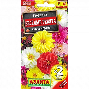 Георгина Веселые ребята смесь Аэлита 0.6 г