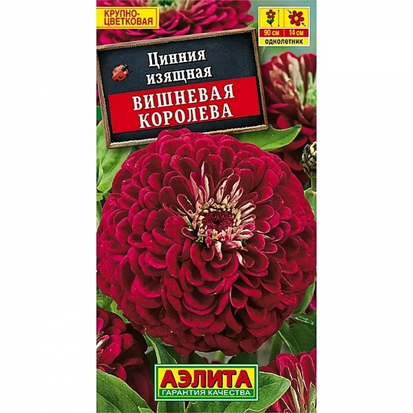 Цинния Вишневая королева семена Аэлита