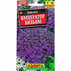Лобелия Император Вильям Аэлита