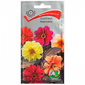 Георгина Мефистофель Агрофирма Поиск 0.2 г