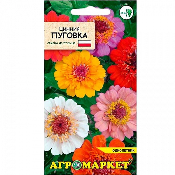 Цинния Пуговка Агромаркет 1 г