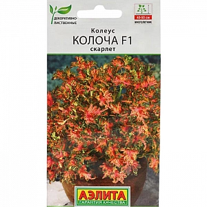 Колеус Колоча F1 скарлет Аэлита 5 шт