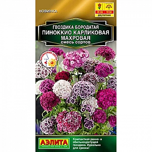 Гвоздика Пиноккио карликовая махровая смесь сортов Аэлита 0.1 г
