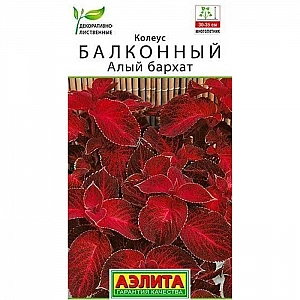 Колеус балконный Алый бархат Аэлита 5 шт