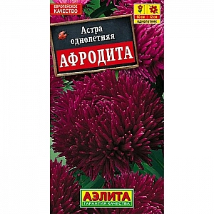 Астра Афродита семена Аэлита