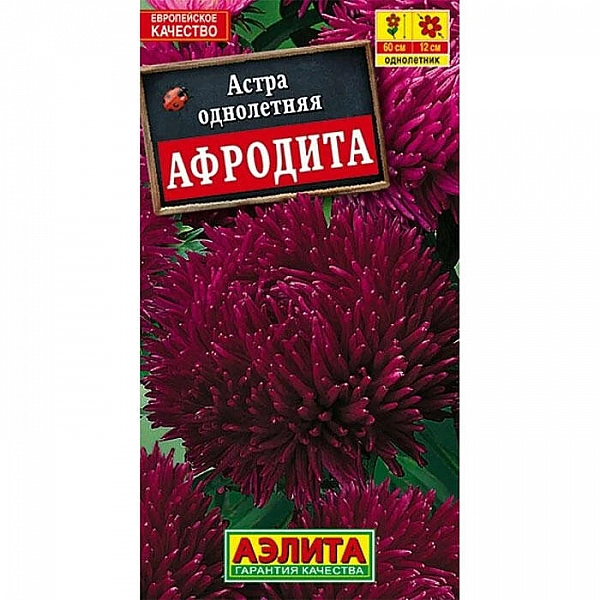 Астра Афродита семена Аэлита