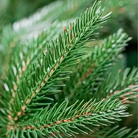 Ель искусственная Калядны час Альвина 150 см. Изображение - 1