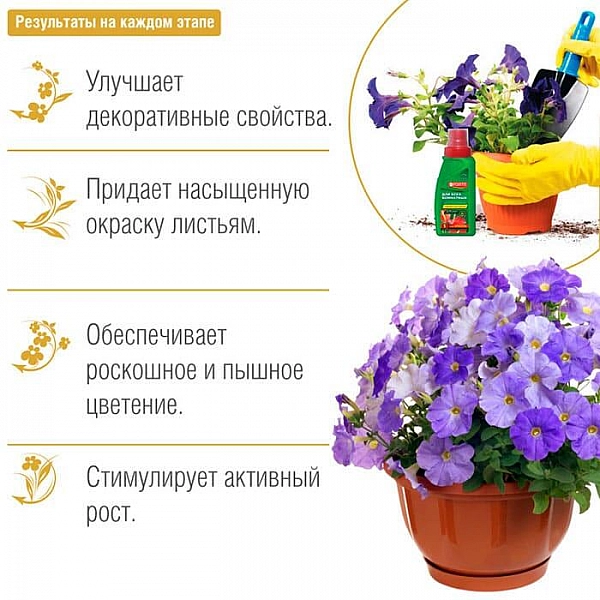 Удобрение Bona Forte Красота для комнатных растений жидкое минеральное 285 мл