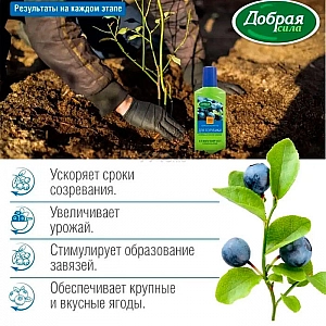 Жидкое органо-минеральное удобрение Добрая сила для голубики и лесных ягод 1 л. Изображение - 1
