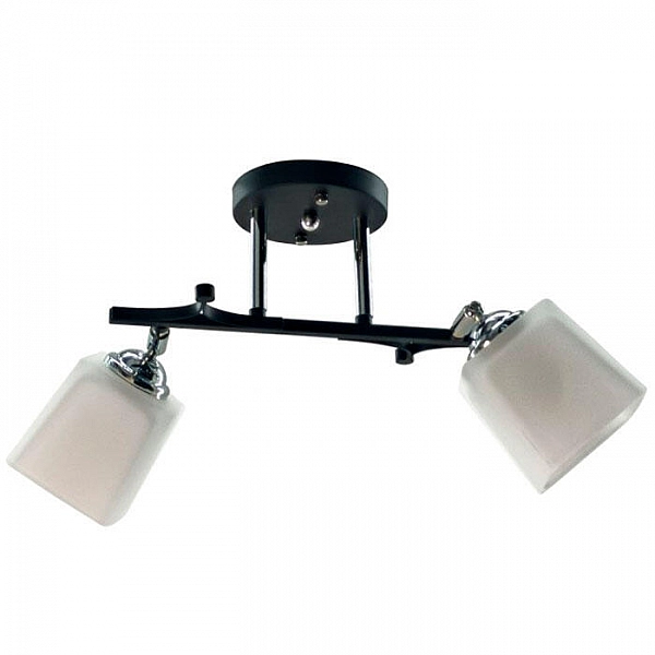 Светильник Айтин-Про НПБ 02-2*60-101 N5488/2 черный/хром