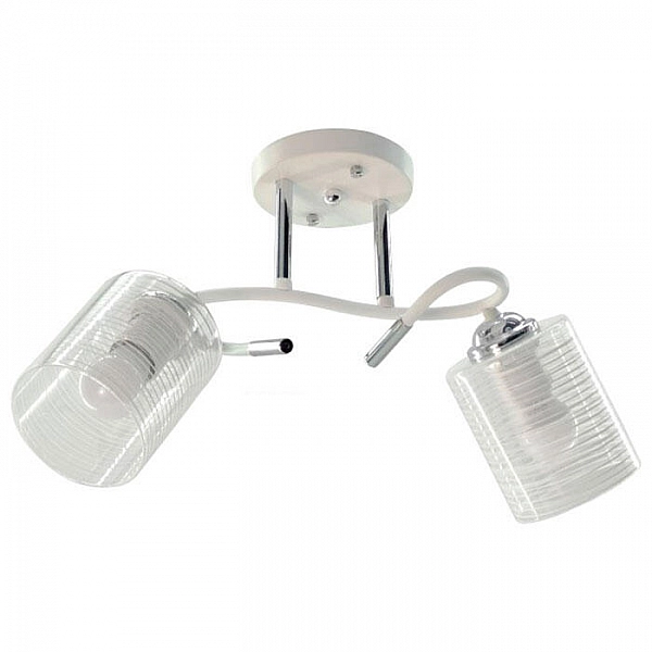 Светильник Айтин-Про НПБ 02-2*60-101 N4523/2