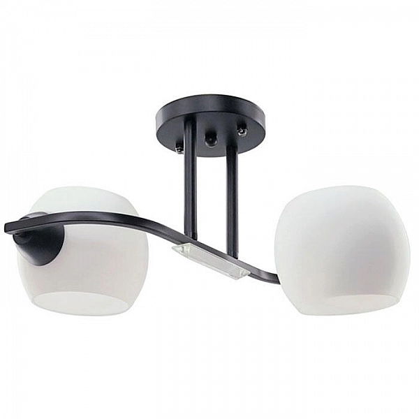 Светильник Айтин-Про НПБ 02-2*60-101 9065/2 черный