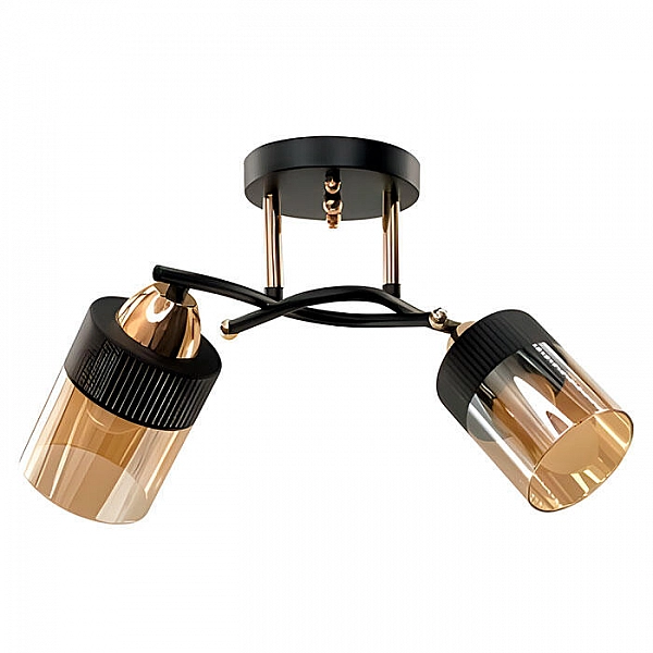 Светильник Айтин-Про НПБ 02-2*60-101 9131/2 золото/черный