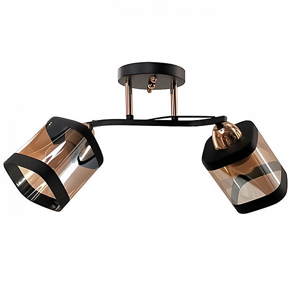 Светильник Айтин-Про НПБ 02-2*60-101 9079/2 черный/золото