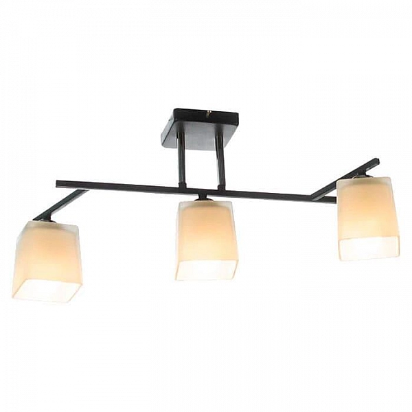 Светильник Айтин-Про НПБ 02-3*60-101 N5956/3 черный/хром