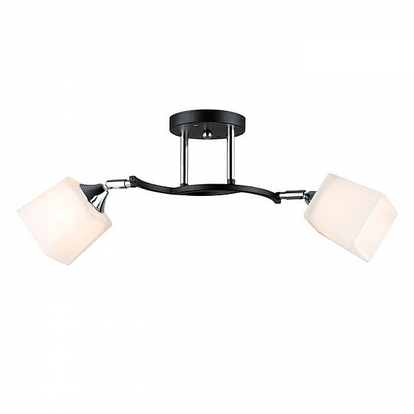 Светильник Айтин-Про НПБ 02-2*60-101 N6106/2 черный/хром