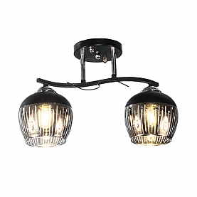 Светильник Айтин-Про НПБ 02-2*60-101 5004/2 черный/хром