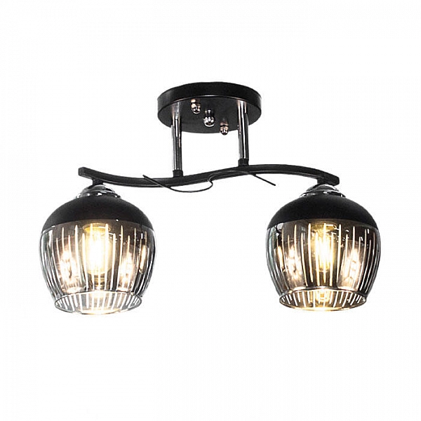 Светильник Айтин-Про НПБ 02-2*60-101 5004/2 черный/хром