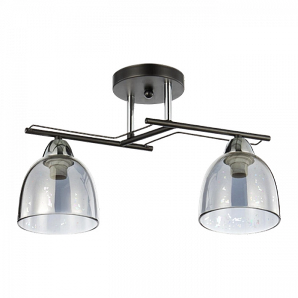 Светильник Айтин-Про НПБ 02-2*60-101 6098/2 черный/хром