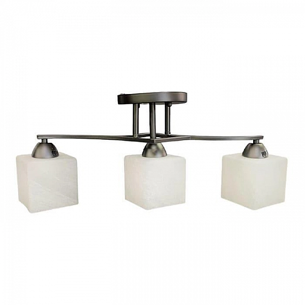 Светильник Айтин-Про НПБ 02-3*60-101 7604/3 черный