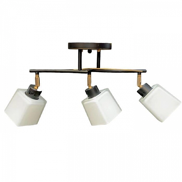 Светильник Айтин-Про НПБ 02-3*60-101 1338/3 черный/золото