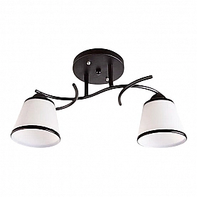 Светильник Айтин-Про НПБ 02-2*60-101 1498/2 черный