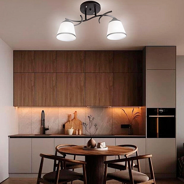 Светильник Айтин-Про НПБ 02-2*60-101 1498/2 черный