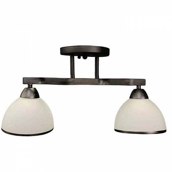 Светильник Айтин-Про НПБ 02-2*60-101 8205/2 черный