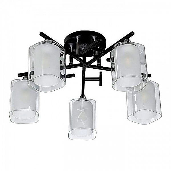 Светильник Айтин-Про НПБ 02-5*60-101 5019/5 черный/хром