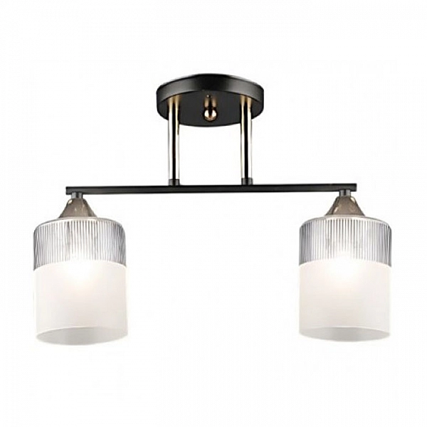 Светильник Айтин-Про НПБ 02-2*60-101 A4409/2 черный/золото