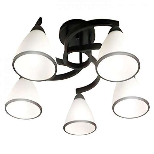 Светильник Айтин-Про НПБ 02-5*60-101 7600/5 черный